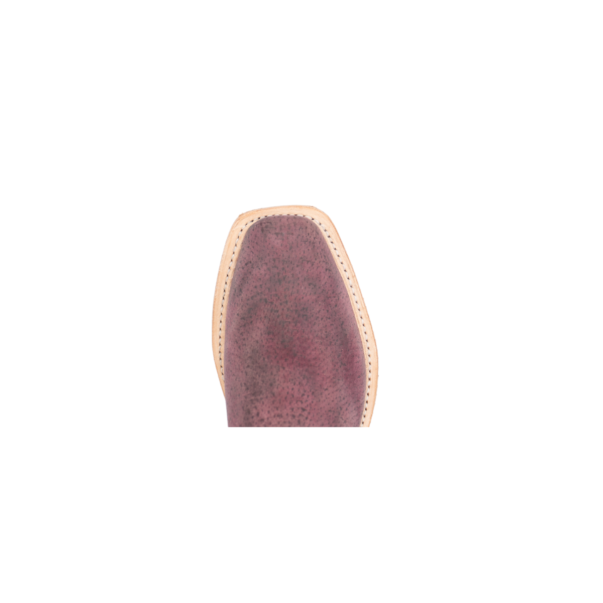 VASHTI - BORDEAUX WILD BOAR