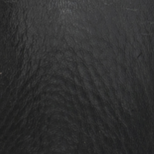 BULCHER - BLACK WILDEBEEST