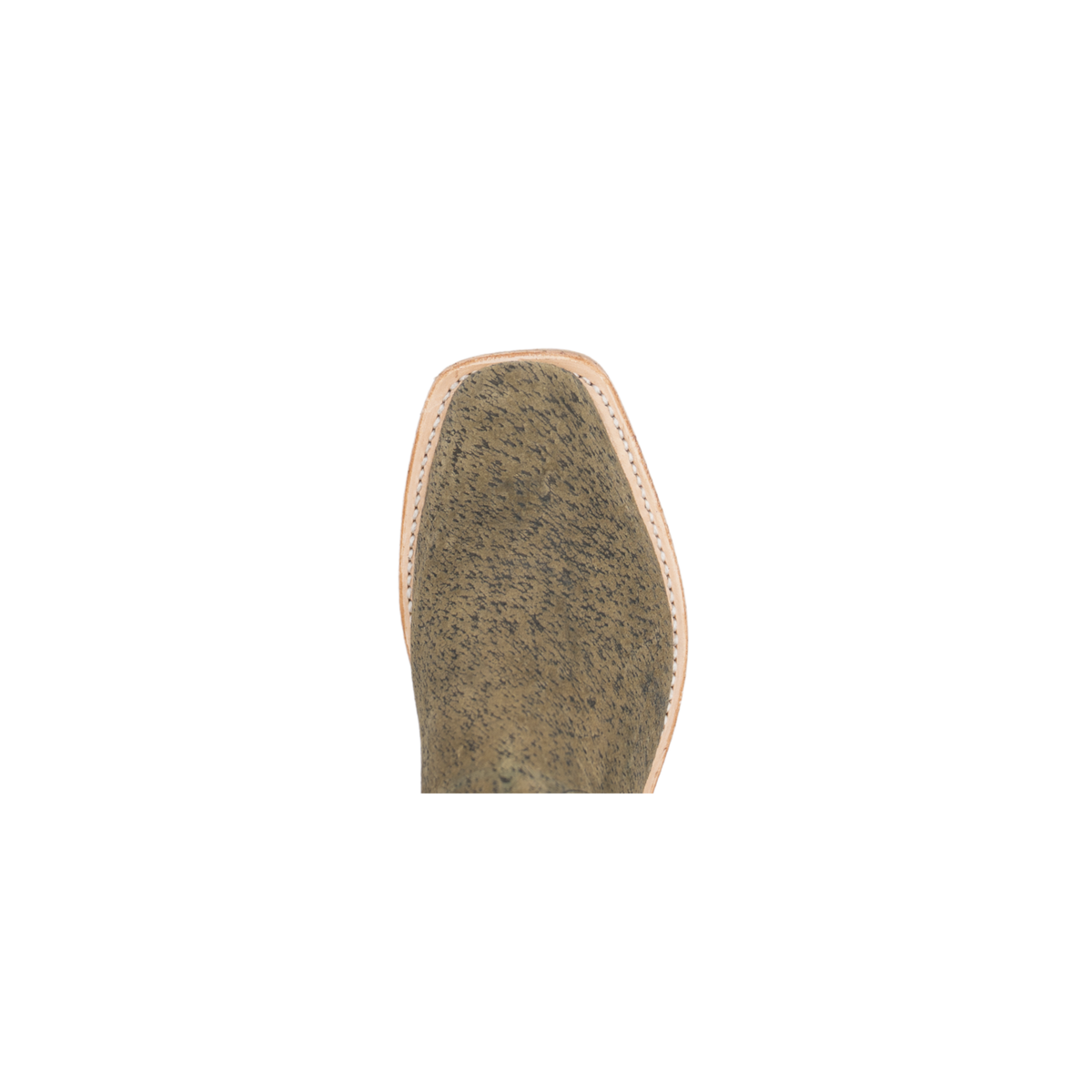 VASHTI - OLIVE WILD BOAR