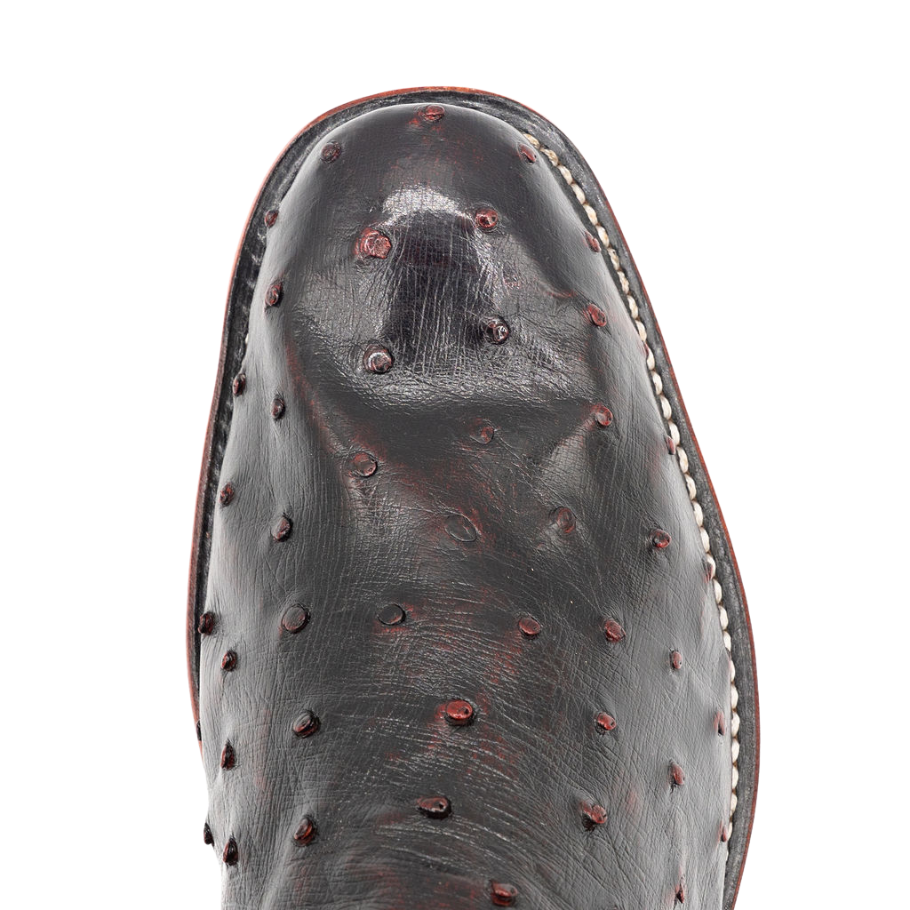 FQ Black Cherry Ostrich w/Black Style No. 00101766