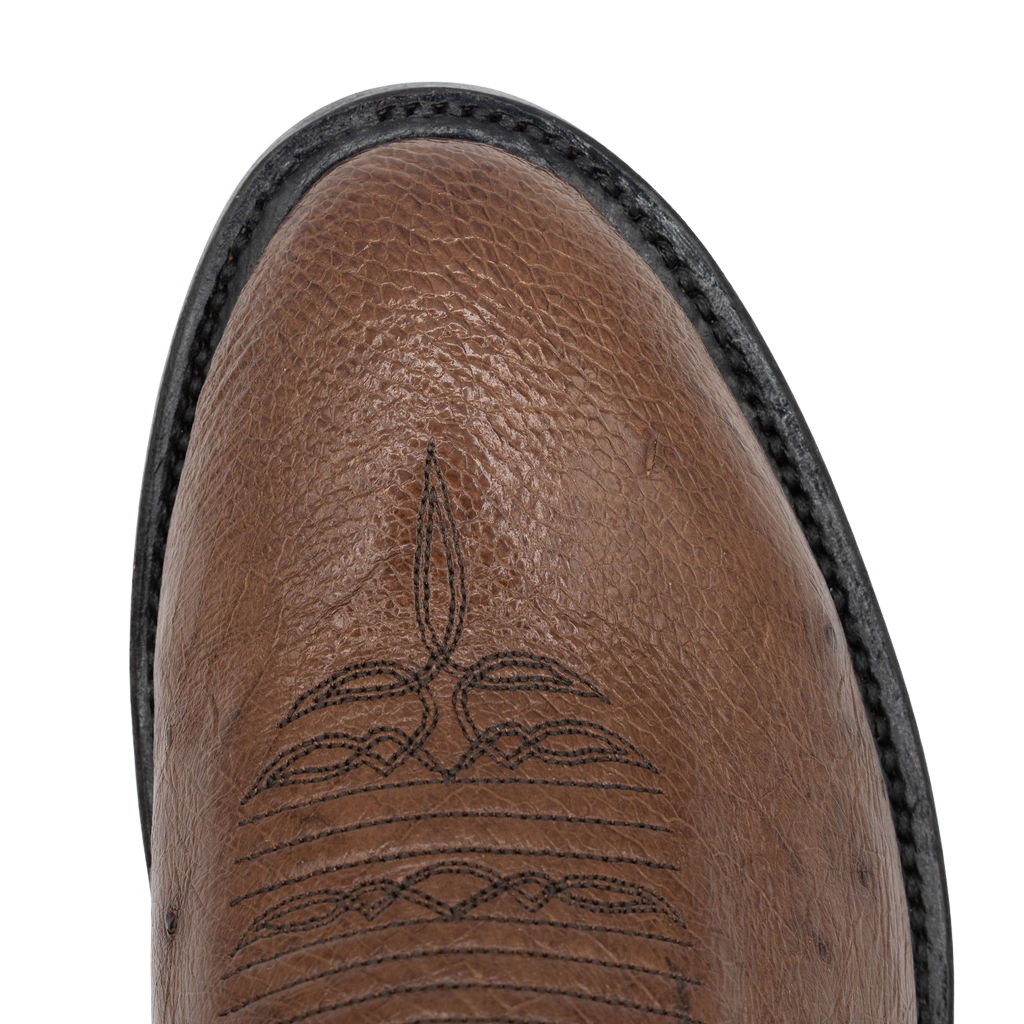 Smooth KT Ostrich w/Nicotine Style No. 00101965